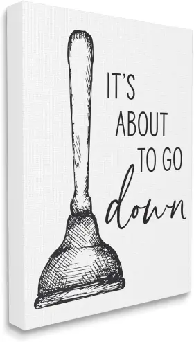 Ae-441 Stupell Industries Cn 24x30 About To Go Down Phrase Humor Toilet Plunger Black