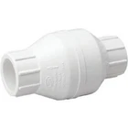 (4)-PROLINE Pvc 2 In. Solv X In-line Check Valve 101-608 New. Price: $86.89.