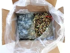 Campbell T0880844N #8 Sash Chain W/fixtures, Copper Glo, 100' Carton New. Price: $42.00.