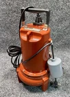 Liberty Pumps LE71A2 3/4 Hp Sewage Ejector 115V, 2" New. Price: $699.99.