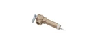 Reliance Water Heater 100108280 Temperature And Pack Of 1, Gold,greeen,brown New. Price: $32.99.