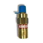 Rego Relief Valve PRV9432T160 Brass Material 1/4" Psi - Cryogenic Gas System New. Price: $49.00.