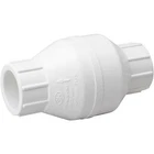 Proline 2" Pvc Check Valve New. Price: $25.25.