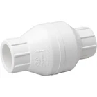 Proline 1" Pvc Check Valve New. Price: $10.99.