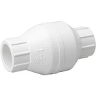 Proline 1-1/2" Pvc Check Valve New. Price: $21.95.