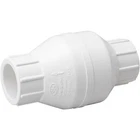 Proline 1-1/4" Pvc Check Valve New. Price: $19.48.